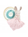 DOUDOU BOTANIC BIO - LAPIN AVEC DOUDOU ROSE PM 15CM