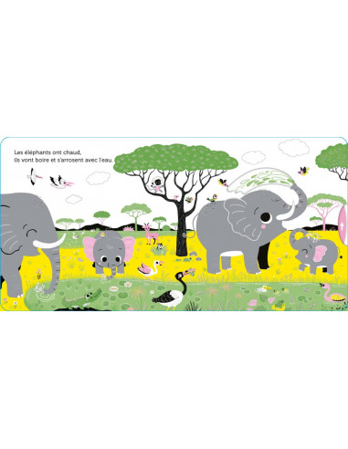 PROMENADE DANS SAVANE
