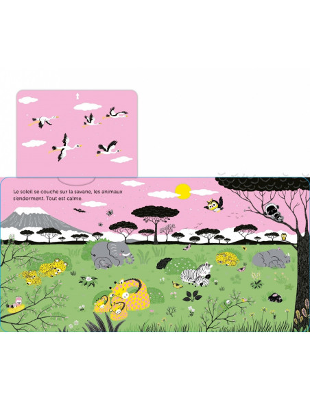 PROMENADE DANS SAVANE