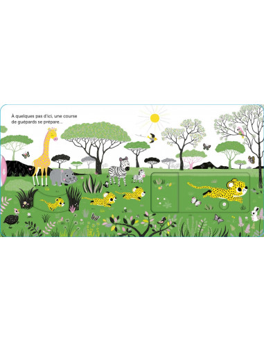 PROMENADE DANS SAVANE
