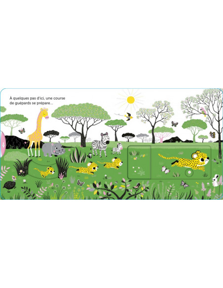 PROMENADE DANS SAVANE