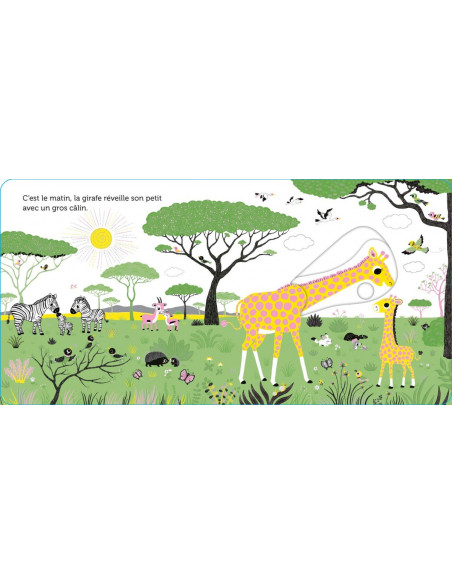 PROMENADE DANS SAVANE