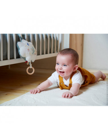 Petites chansons - coussin musical une souris verte