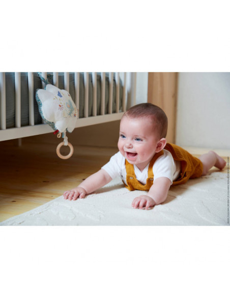 Petites chansons - coussin musical une souris verte