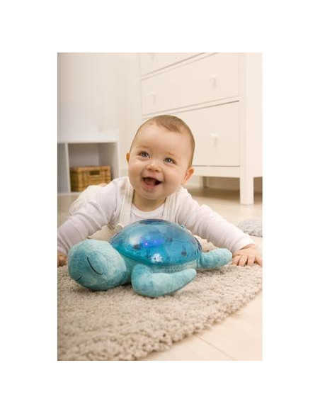 Tranquil turtle® - aqua