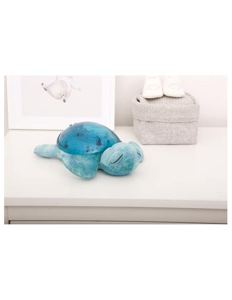 Tranquil turtle® - aqua