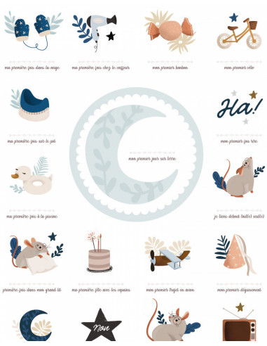 Affiche "mes premieres fois" - souris cobalt