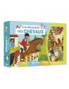 A la decouverte des chevaux