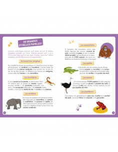 A la decouverte des animaux du monde 2