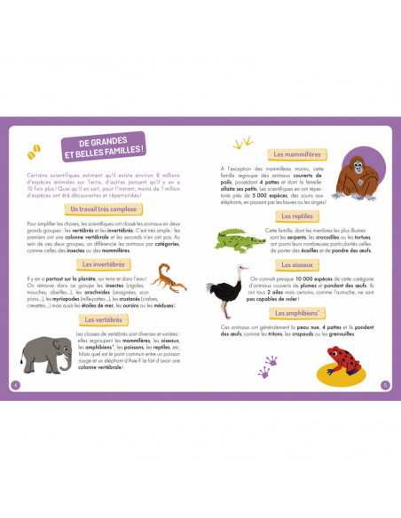 A la decouverte des animaux du monde