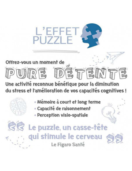Nathan - puzzle Monuments Paris 1000p