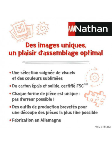 Nathan - puzzle Monuments Paris 1000p