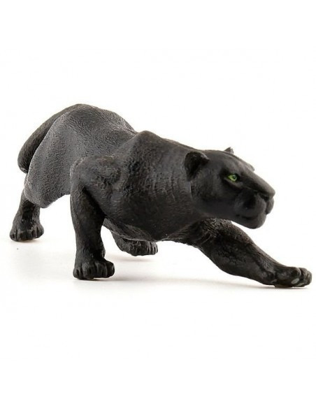 Panthère noire