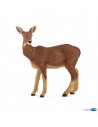 Biche