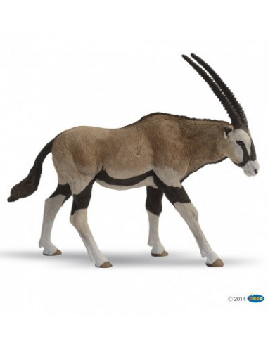 Antilope oryx