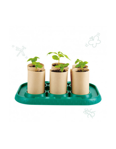 NATURE FUN