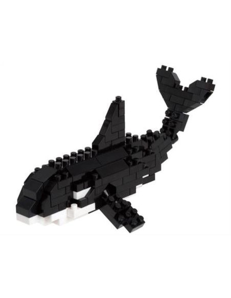 KILLER WHALE