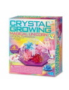Science in action - terrarium vivant cristaux et licornes