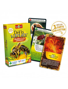 Defis nature - abeilles et autres pollinisateurs 2