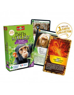 Defis nature - singes et autres primates 2