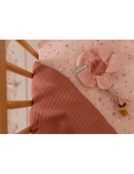Attache tetine flowers & butterflies