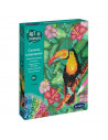 Art & Créations CANEVAS A DIAMANTER Toucan