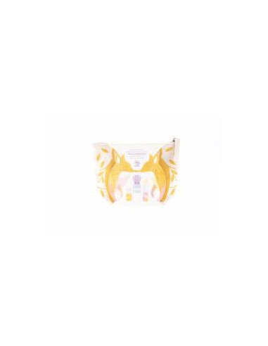 TROUSSE RENARD OR