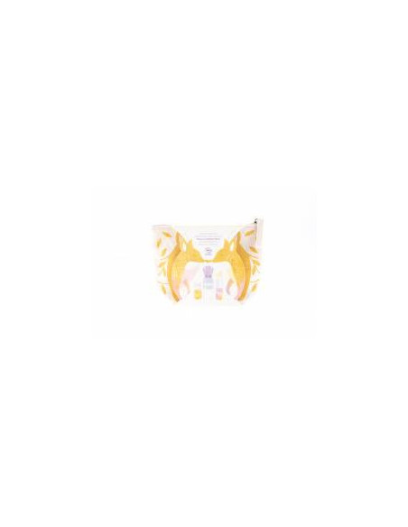 TROUSSE RENARD OR