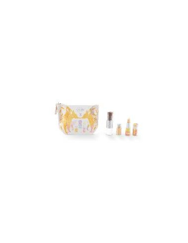 TROUSSE RENARD OR