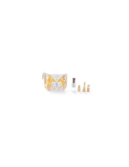 TROUSSE RENARD OR