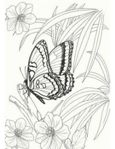 ART BOOK PAPILLONS 2