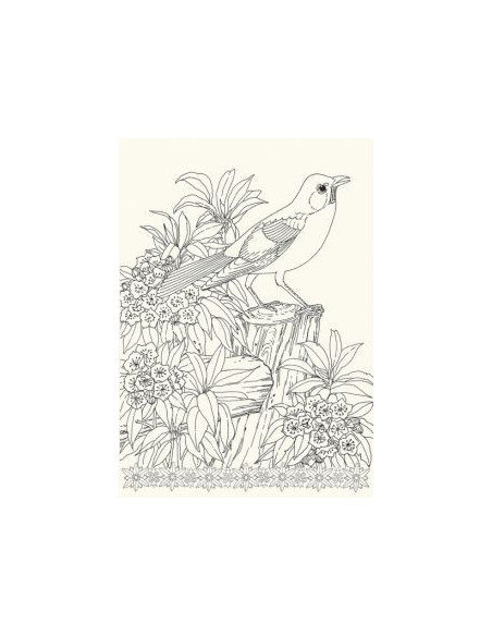 Art book oiseaux