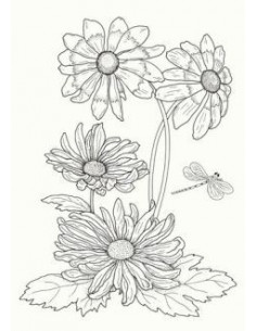 Art book fleurs et bouquets 2