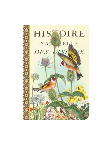 Cahier imagier - oiseaux d'europe