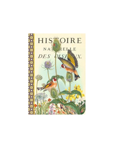 Cahier imagier - oiseaux d'europe