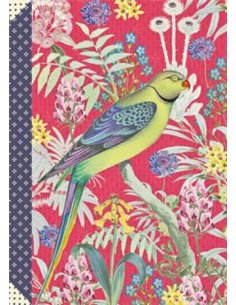CARNET MOTS DE PASSE - LES ILES