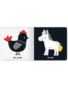 Premiers flaps - la ferme 2