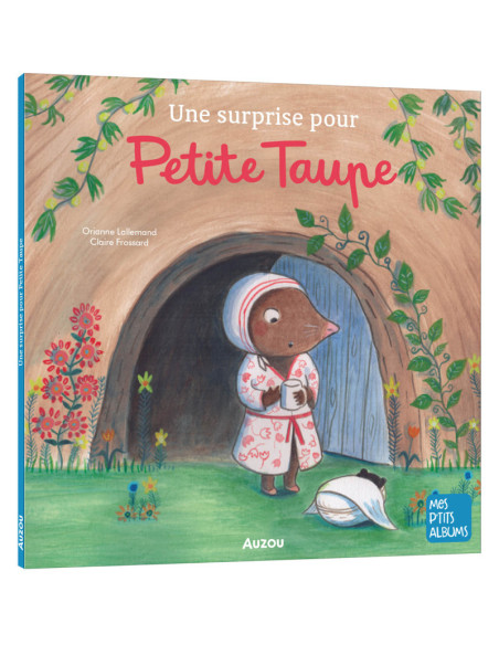 Une surprise pour petite taupe - (ne)