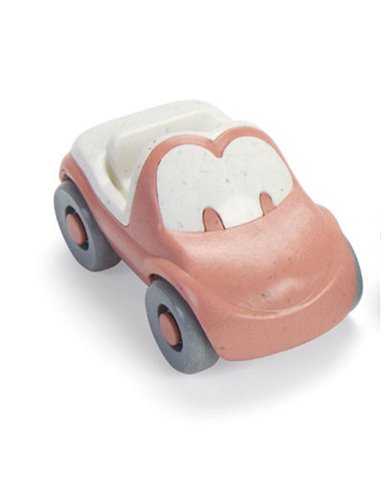 DANTOY - SET DE 2 VEHICULES BIO
