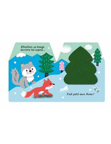 CACHE-CACHE PETIT LOUP