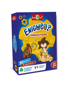 Enigmes préhistoire