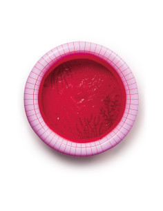 Quut - piscine dippy rose cerise 120cm 2