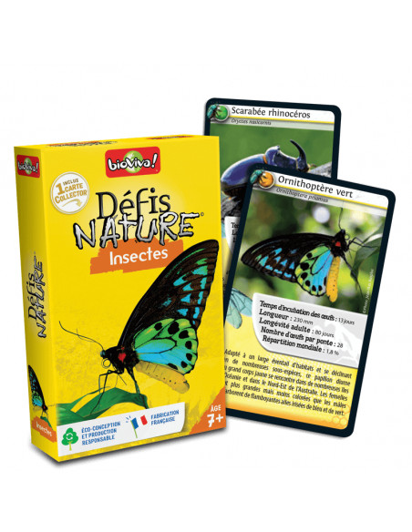 Défis Nature - Insectes