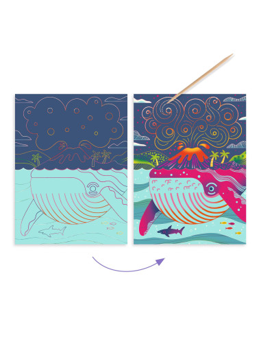 Cartes a gratter duocolor - dessus - dessous - djeco