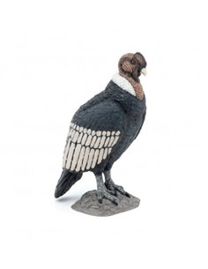 CONDOR