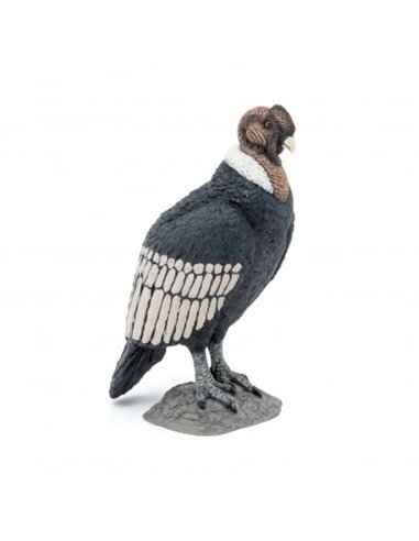 CONDOR