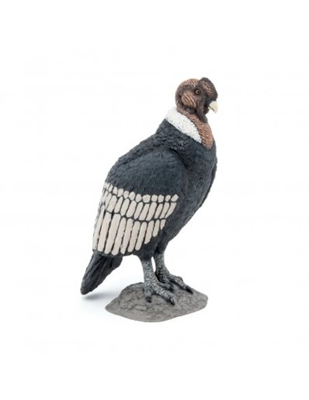 CONDOR