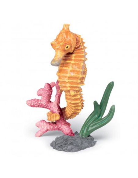 HIPPOCAMPE