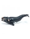 BALEINE FRANCHE