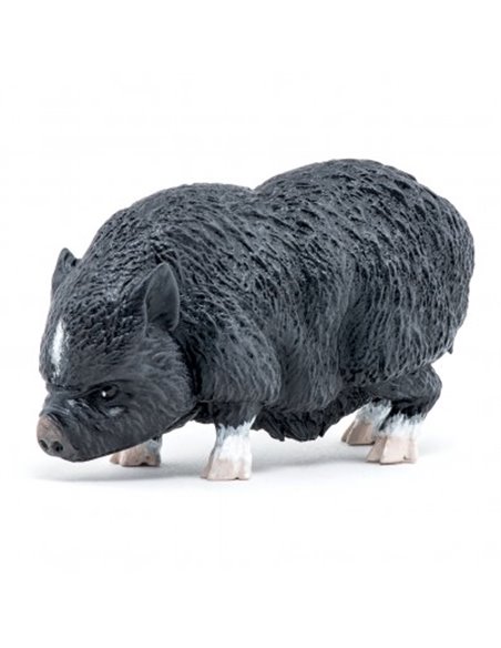 COCHON VIETNAMIEN